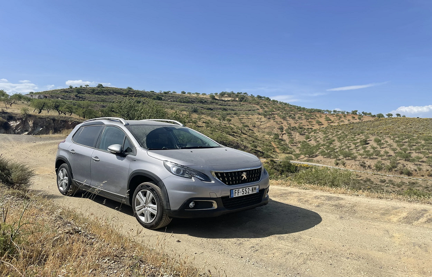 text-car for rent in Spain